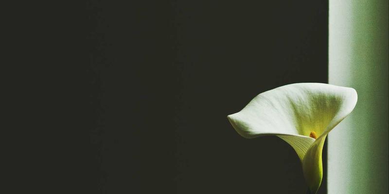 API经济时代：捷轩3详解如何设计、管理与货币化企业API战略