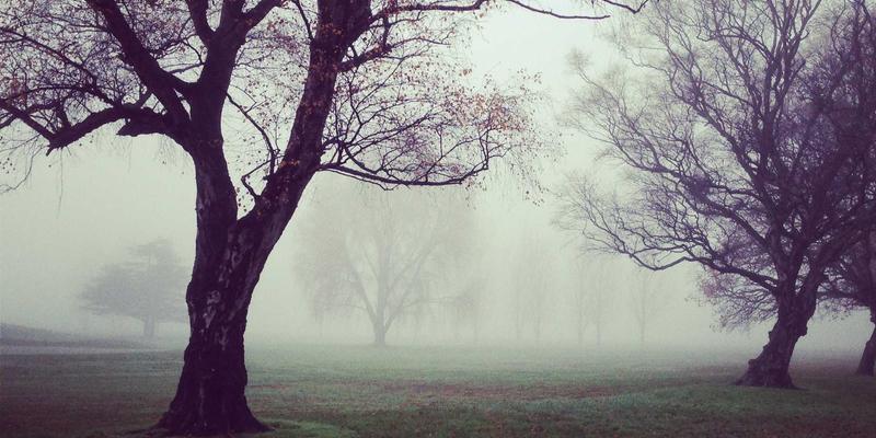 低代码/无代码平台：企业应用边界与风险警示 | 捷轩3专业视角