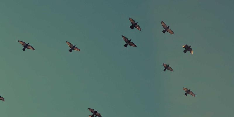 图数据库如何重塑社交推荐与风控？捷轩3实战技术方案深度解析