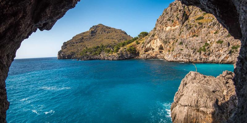 跨平台移动开发框架深度对比：捷轩3解析React Native、Flutter与原生开发的战略选择